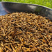 Dried Calciworms - Premium Straight Bird Foods from Garden Bird Feeders - Just £2.29! Shop now at Garden Bird Feeders