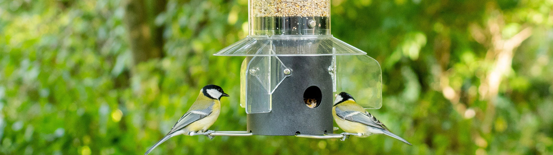 Quality Bird Feeders