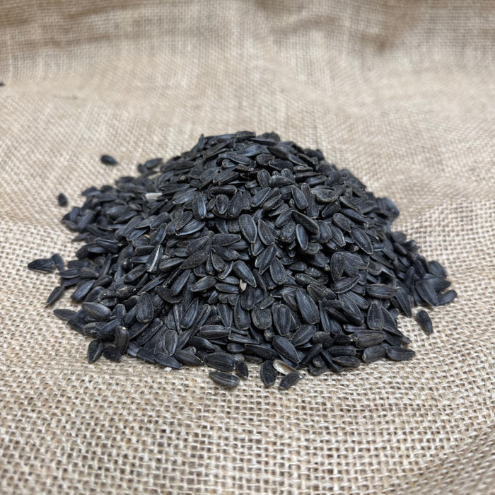 Black Sunflower Seeds