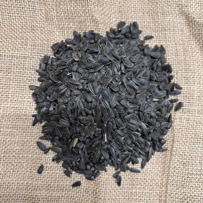 Black Sunflower Seeds