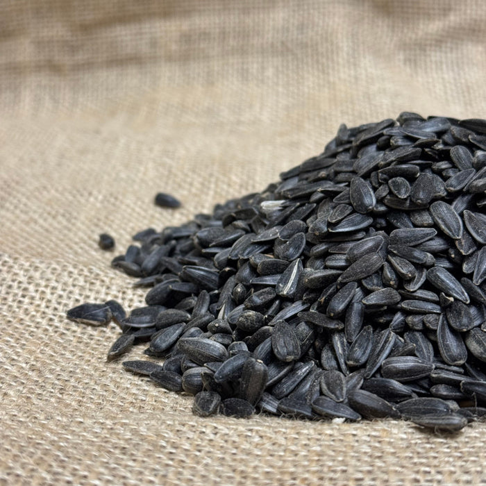 Black Sunflower Seeds