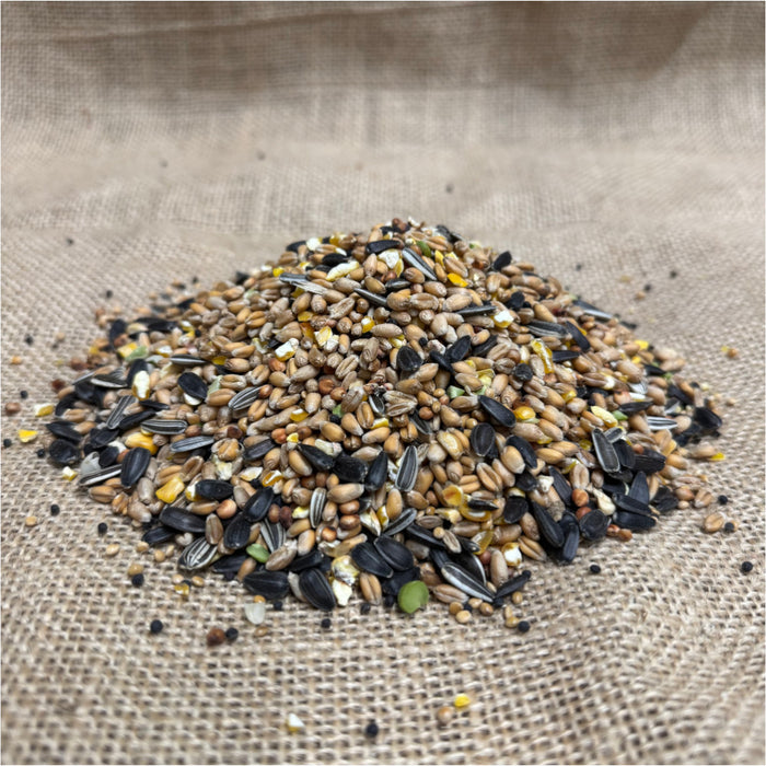 Classic Seed Mix