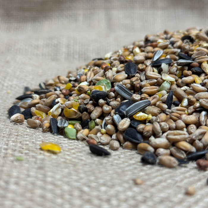 Classic Seed Mix