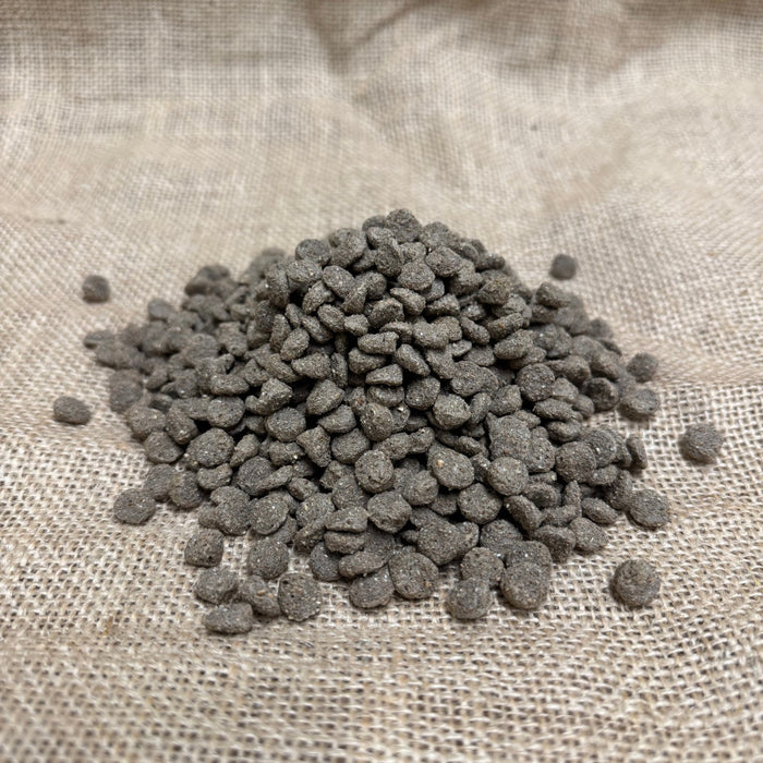 Duck and Swan Floating Food