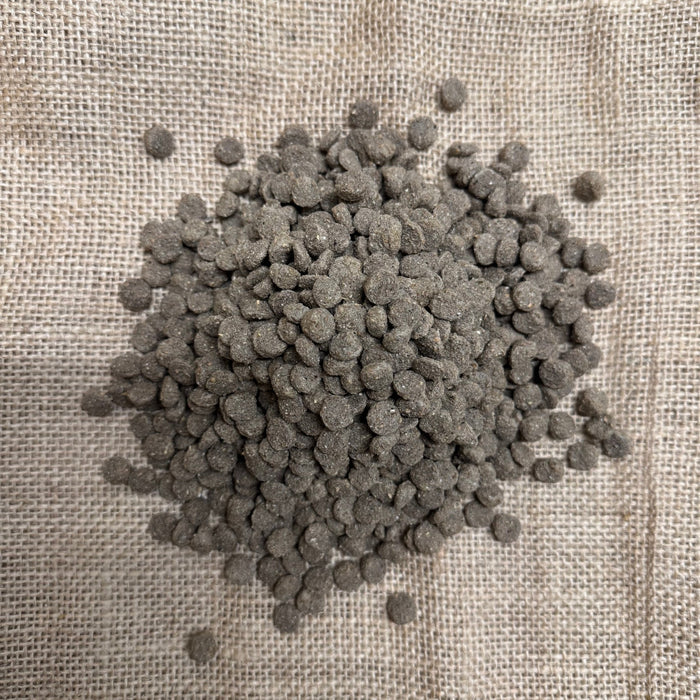 Duck and Swan Floating Food