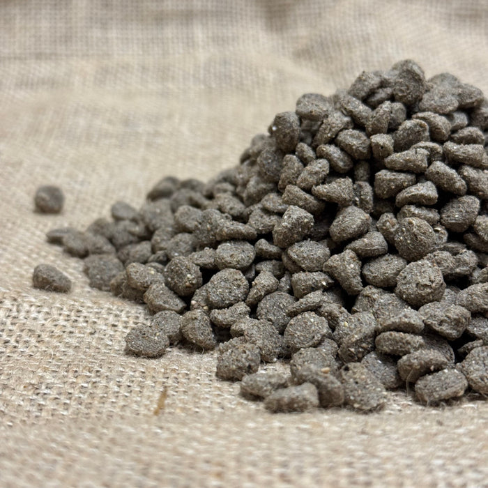 Duck and Swan Floating Food