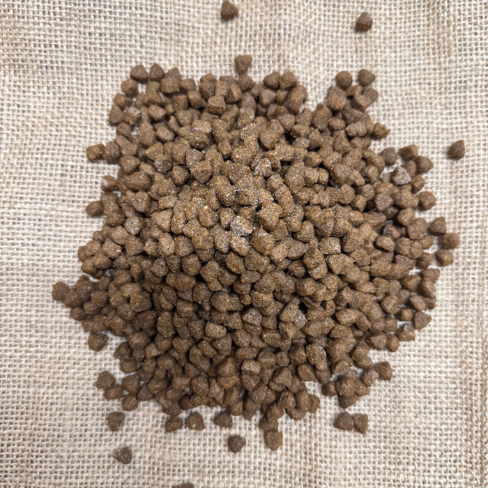 Hedgehog Complete Meal