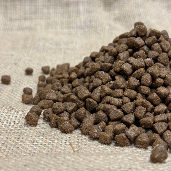 Hedgehog Complete Meal