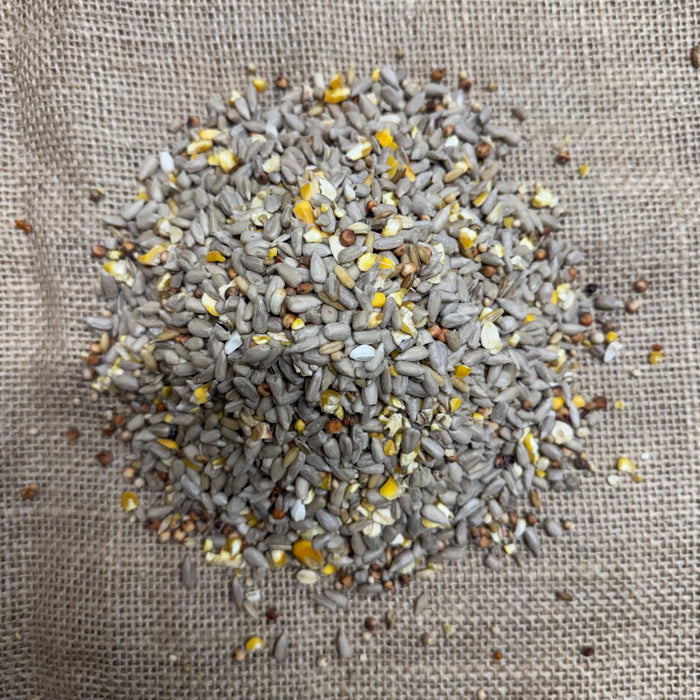 No Mess Seed Mix