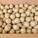 Premium Fat Balls - Premium Suet & Fat from Garden Bird Feeders - Just £3.99! Shop now at Garden Bird Feeders