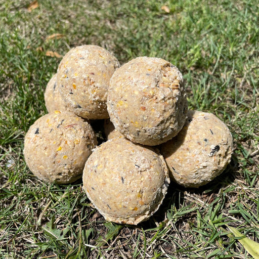 Premium Fat Balls - Premium Suet & Fat from Garden Bird Feeders - Just £3.99! Shop now at Garden Bird Feeders