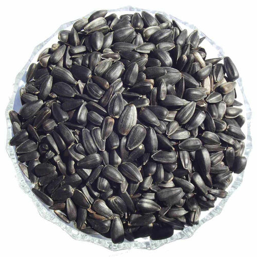 Black Sunflower Seeds - Premium Straight Bird Foods from Garden Bird Feeders - Just £4.89! Shop now at Garden Bird Feeders