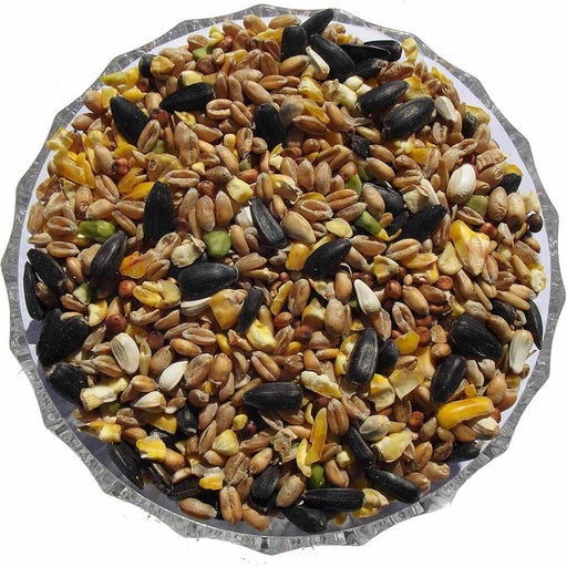 Classic Seed Mix - Premium Wild Bird Seed Mixes from Garden Bird Feeders - Just £4.19! Shop now at Garden Bird Feeders