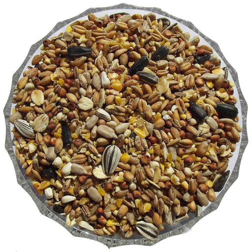 Deluxe Table Seed Mix - Premium Wild Bird Seed Mixes from Garden Bird Feeders - Just £4.29! Shop now at Garden Bird Feeders