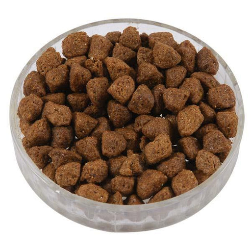 Hedgehog Complete Meal - Premium Wildlife Foods from Garden Bird Feeders - Just £8.49! Shop now at Garden Bird Feeders
