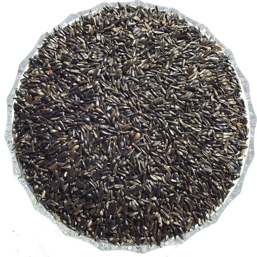 Niger Seeds (Nyjer) - Premium Straight Bird Foods from Garden Bird Feeders - Just £6.99! Shop now at Garden Bird Feeders