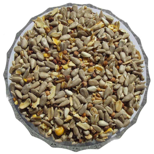 No Mess Bird Seed Mix - Premium Wild Bird Seed Mixes from Garden Bird Feeders - Just £4.99! Shop now at Garden Bird Feeders