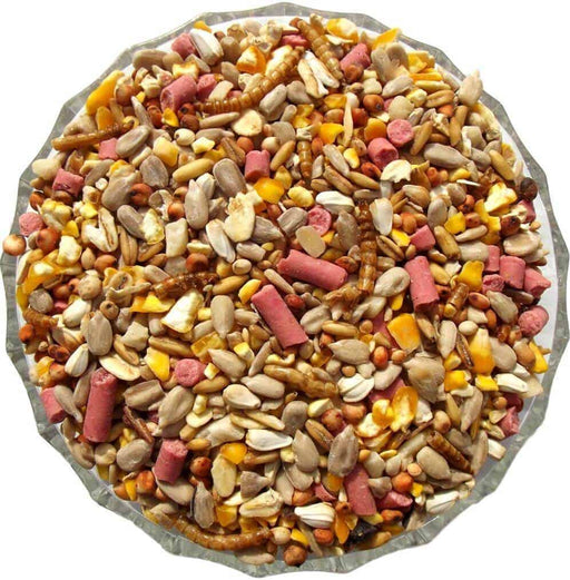 Premium Plus Seed Mix - Premium Wild Bird Seed Mixes from Garden Bird Feeders - Just £4.79! Shop now at Garden Bird Feeders