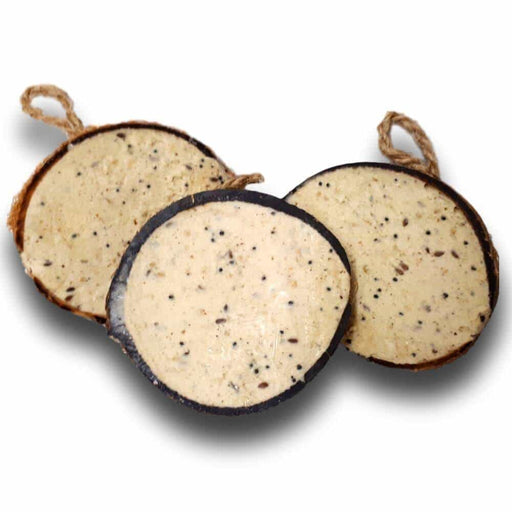 Premium Suet Coconut Halves - Premium Suet & Fat from Garden Bird Feeders - Just £4.99! Shop now at Garden Bird Feeders