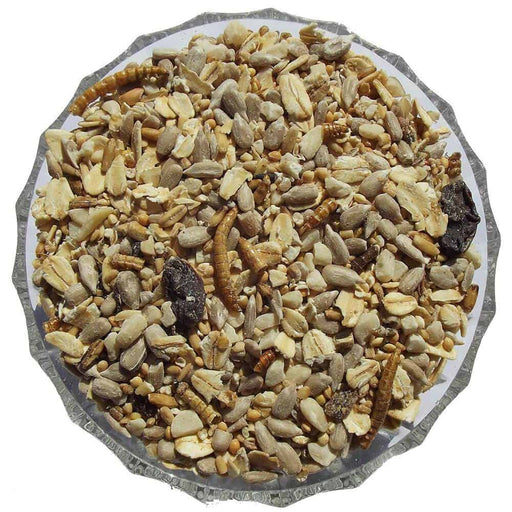 Robin & Songbird Mix - Premium Wild Bird Seed Mixes from Garden Bird Feeders - Just £5.19! Shop now at Garden Bird Feeders