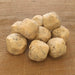 Suet Balls with Mealworms - Premium Suet & Fat from Garden Bird Feeders - Just £3.99! Shop now at Garden Bird Feeders