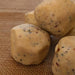 Suet Balls with Mealworms - Premium Suet & Fat from Garden Bird Feeders - Just £3.99! Shop now at Garden Bird Feeders